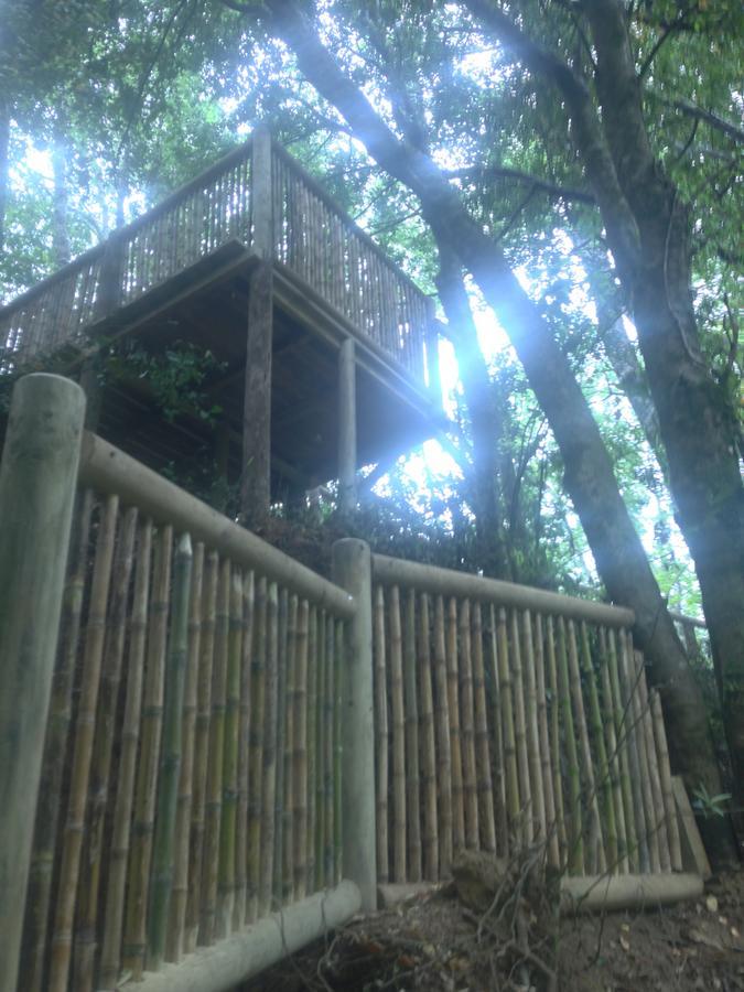 Cabanas Bosques De Loncotraro Hotel บียารีกา ภายนอก รูปภาพ
