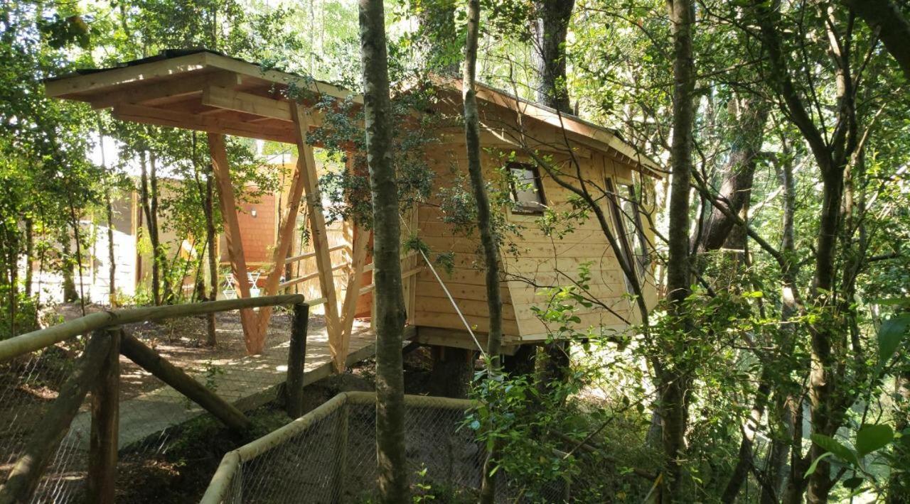 Cabanas Bosques De Loncotraro Hotel บียารีกา ภายนอก รูปภาพ