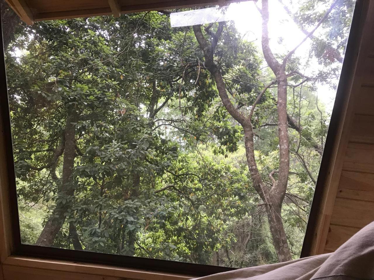 Cabanas Bosques De Loncotraro Hotel บียารีกา ภายนอก รูปภาพ
