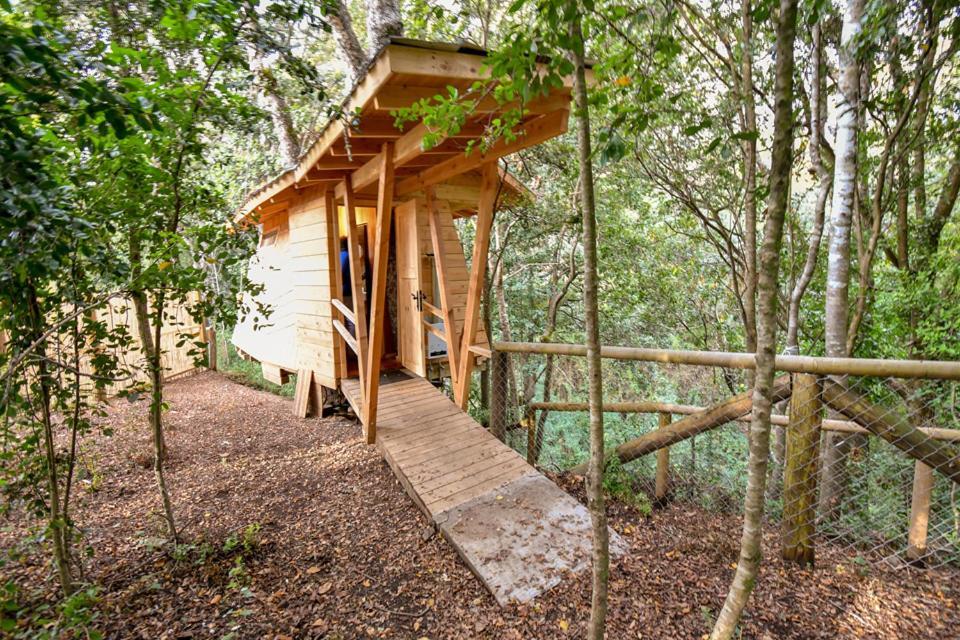 Cabanas Bosques De Loncotraro Hotel บียารีกา ภายนอก รูปภาพ