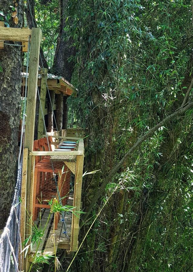 Cabanas Bosques De Loncotraro Hotel บียารีกา ภายนอก รูปภาพ