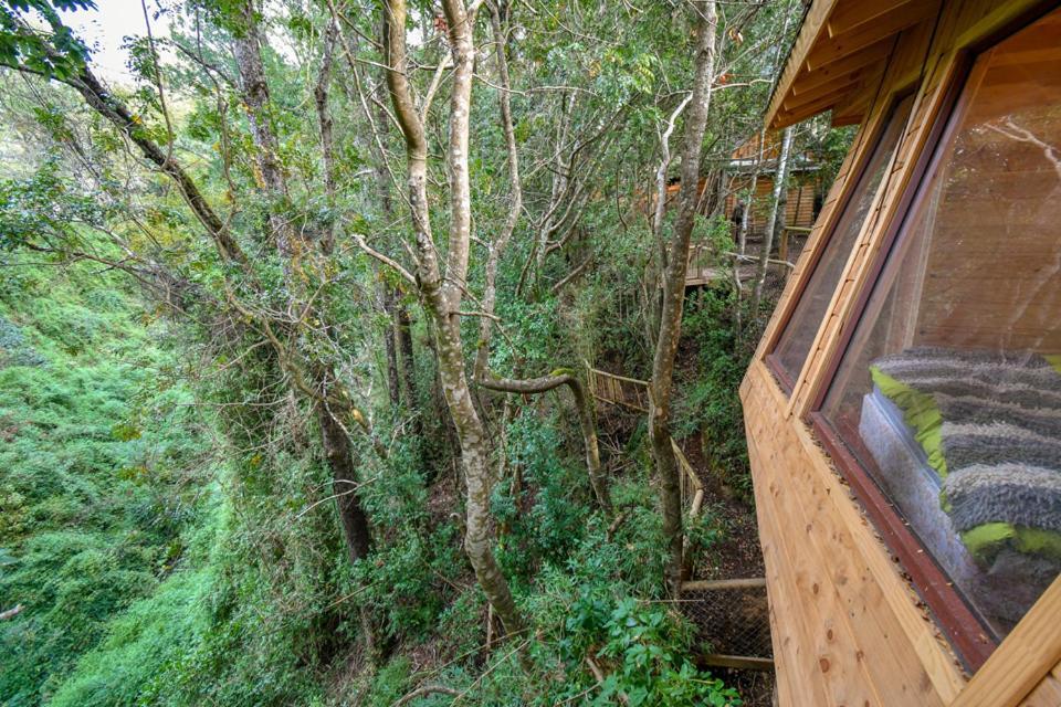 Cabanas Bosques De Loncotraro Hotel บียารีกา ภายนอก รูปภาพ