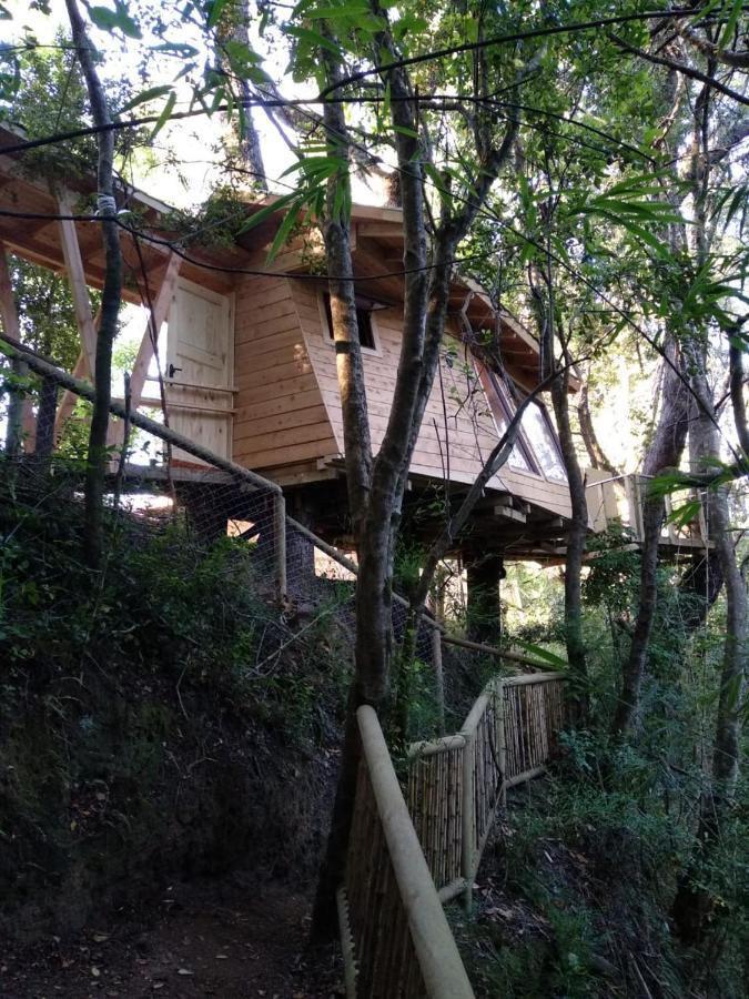 Cabanas Bosques De Loncotraro Hotel บียารีกา ภายนอก รูปภาพ